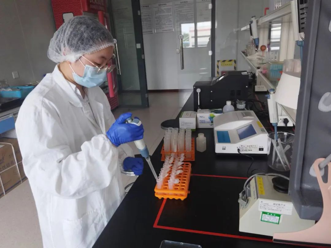 重庆市涪陵区江东街道市场监管所开展冷冻食品质量专项检查(图1)