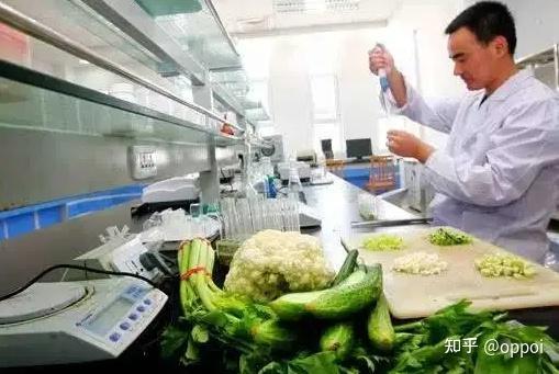 宠物食品功效检测(图1)