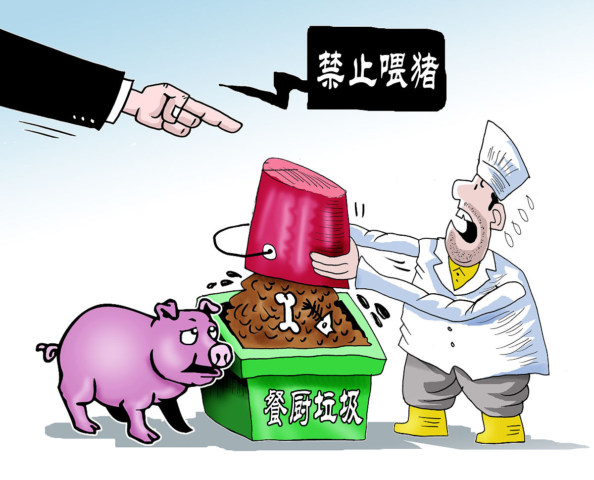 从鸡蛋、猕猴桃到粽子、养生茶 食品安全无小事(图1)