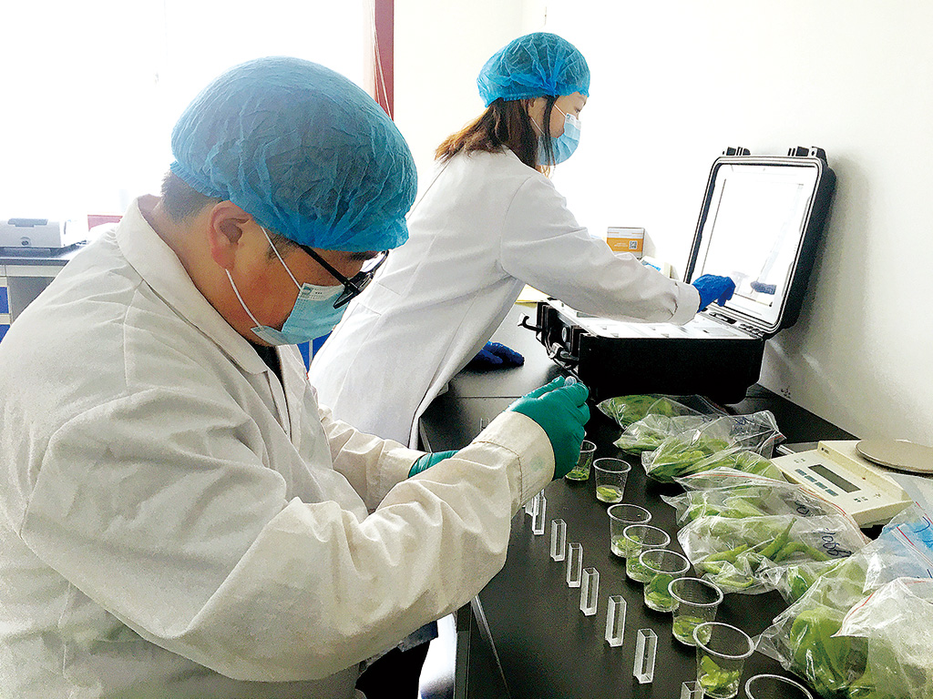 甘肃省东乡县市场监管局开展“六一”儿童节前校园周边食品安全专项检查(图1)