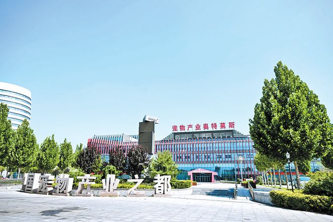 “百亿宠都”的进阶密码(图3)