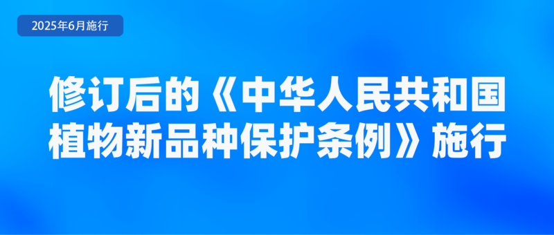 涉学前教育、人脸识别技术应用等6月起这些新规将施行(图5)