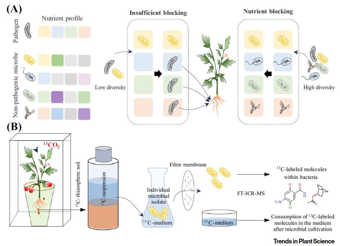 春节我在岗丨营口市疾控中心微生物实验室的新春“守夜人”(图1)