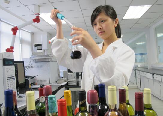 2026年国内靠谱的生态认证公司选型推荐手册(图1)