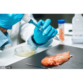 IDA早鸟报名即将截止！作品满足这三点更容易拿奖(图1)