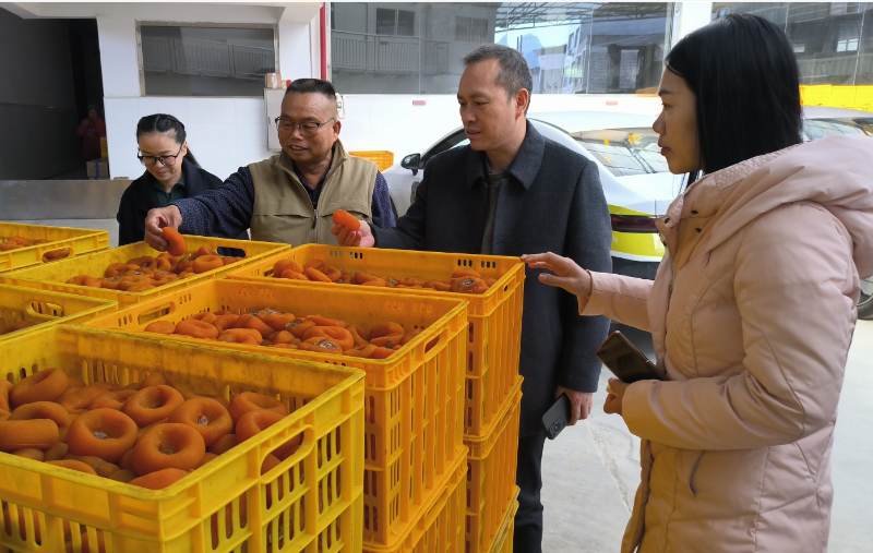 广西桂林：“湾区认证”搭金桥助力特色农产品打入高端市场(图1)