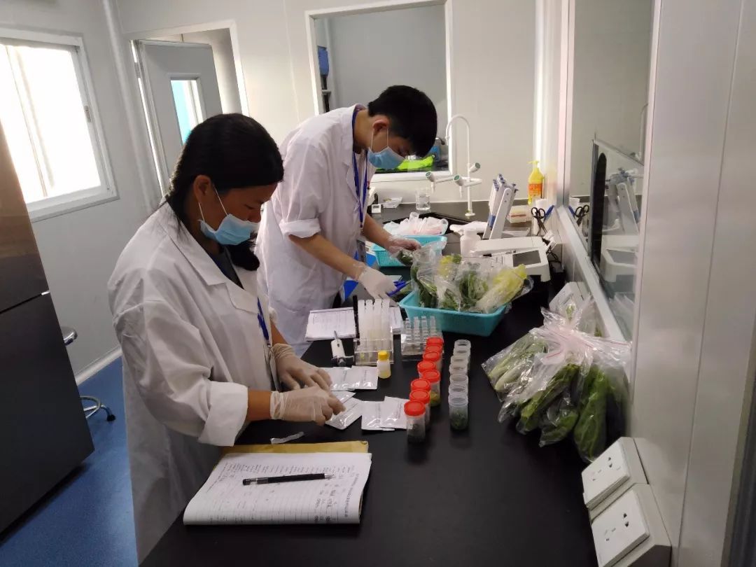 2026年第三方检测机构排行榜完整版：综合排名+细分赛道选型指南(图1)