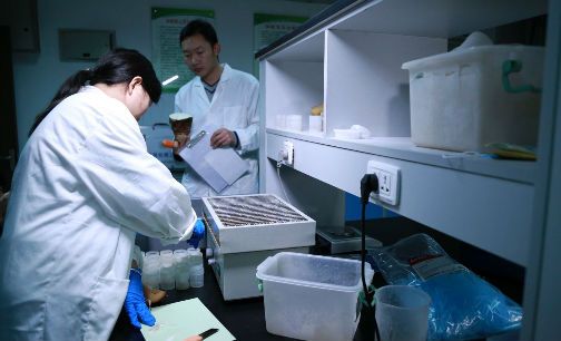 2026年食品接触材料检测行业服务主体能力全景梳理(图1)